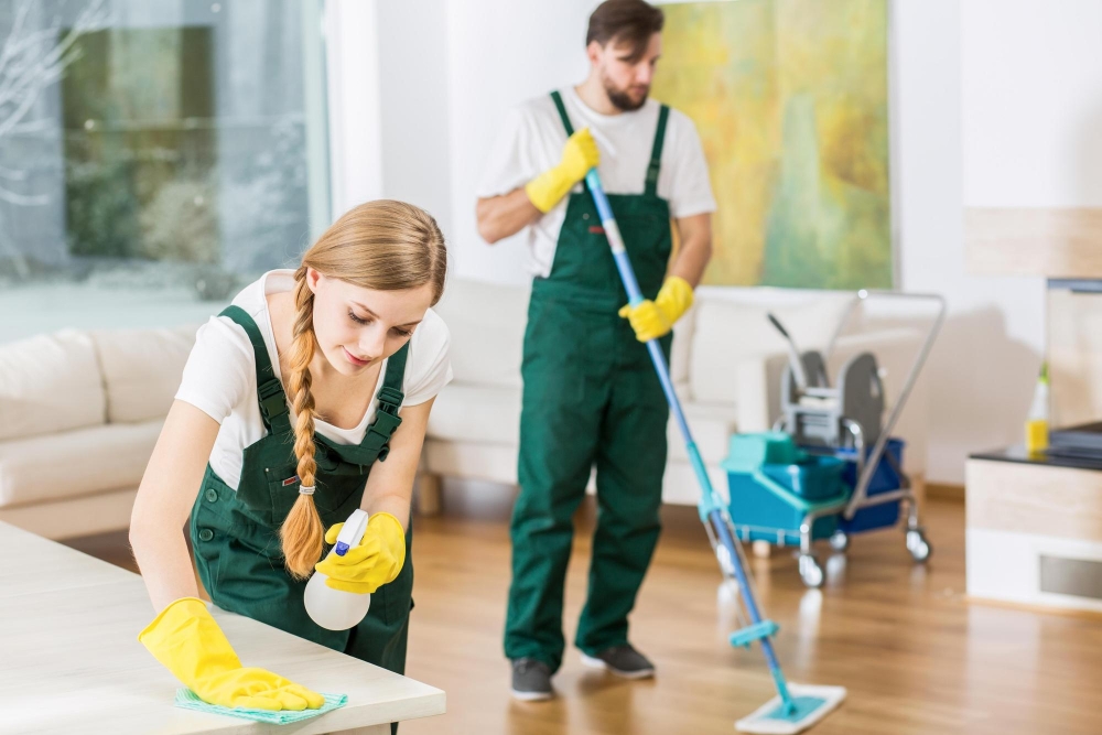 House Cleaning
